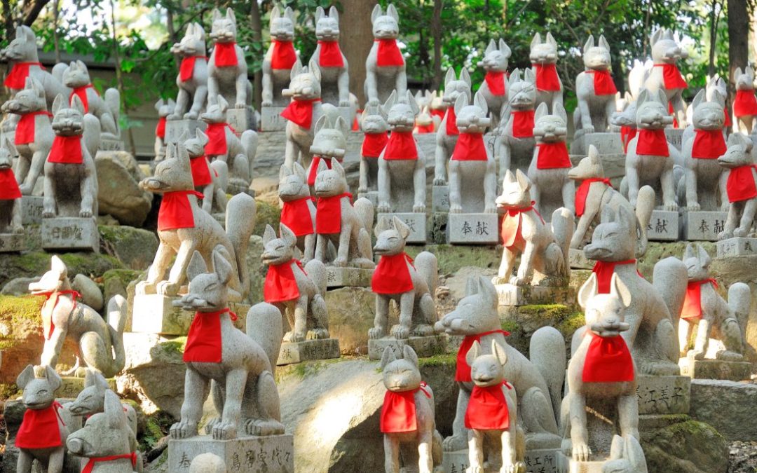Kitsune: A raposa no Japão e o seu símbolismo… Divindade ou aberração?