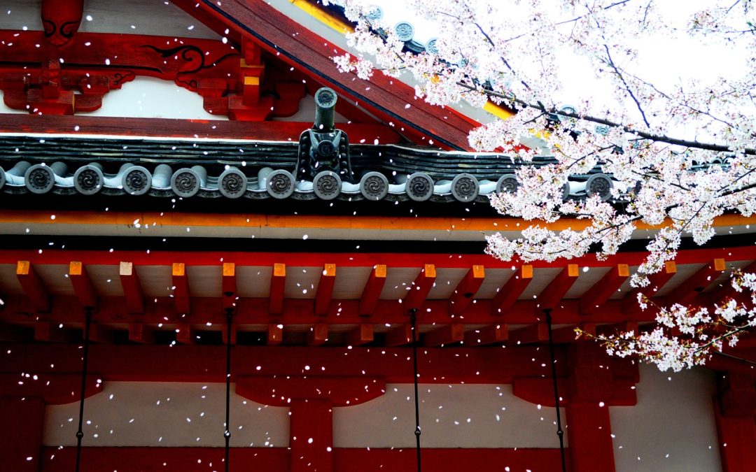 EP08 – Sakura e Startup japonesas mandam ver nos EUA | Kotobá Nihongo Podcast