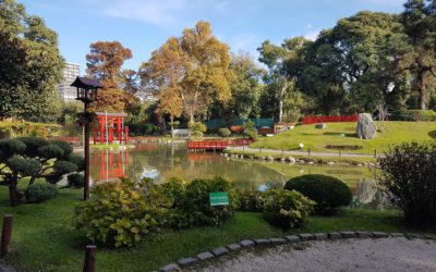Jardim Japonês e a sua beleza inconfundível